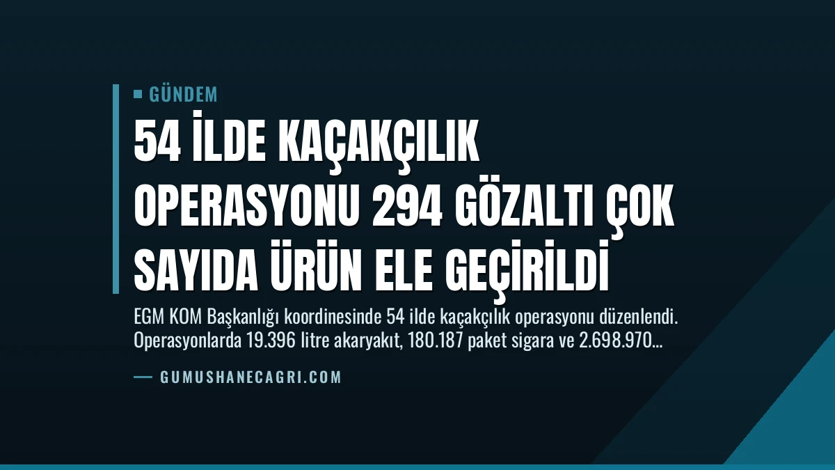 54 İlde Kaçakçılık Operasyonu 294 Gözaltı Çok Sayıda Ürün Ele Geçirildi