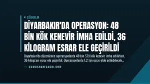 Diyarbakır’da Operasyon: 48 Bin Kök Kenevir İmha Edildi, 36 Kilogram Esrar Ele Geçirildi