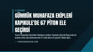 Gümrük Muhafaza Ekipleri Kapıkule’de 67 Piton Ele Geçirdi