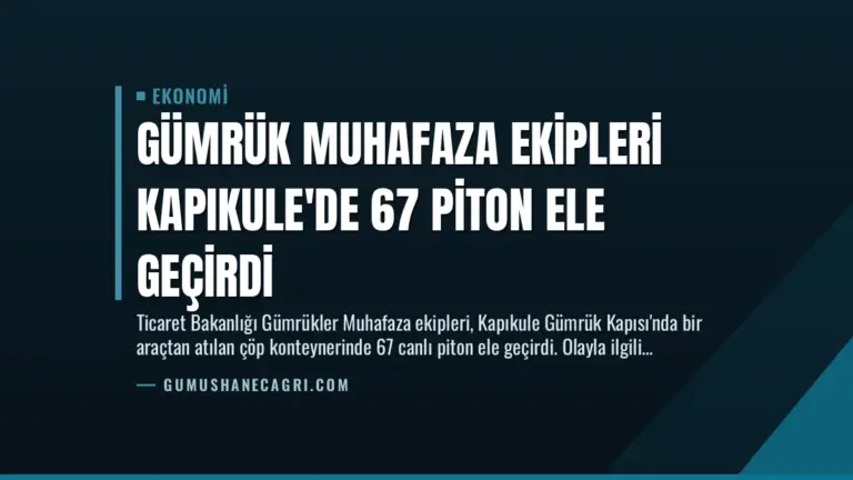 Gümrük Muhafaza Ekipleri Kapıkule’de 67 Piton Ele Geçirdi