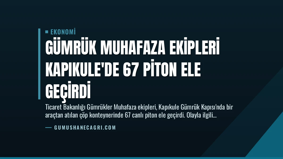 Gümrük Muhafaza Ekipleri Kapıkule’de 67 Piton Ele Geçirdi