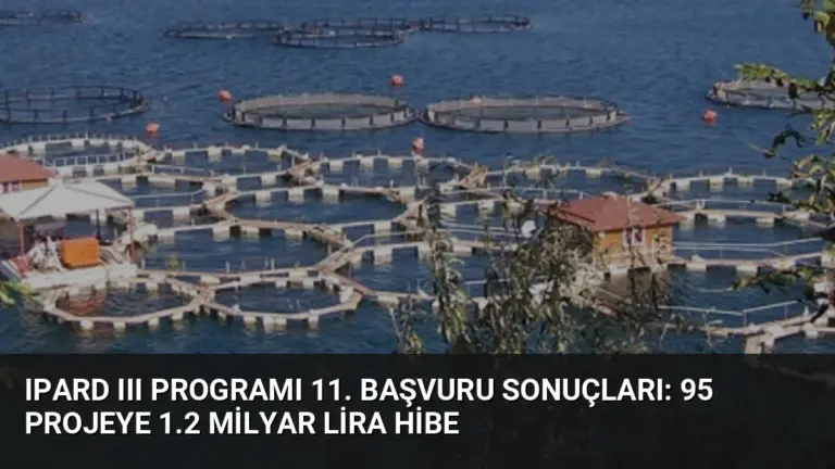 IPARD III Programı 11. Başvuru Sonuçları: 95 Projeye 1.2 Milyar Lira Hibe