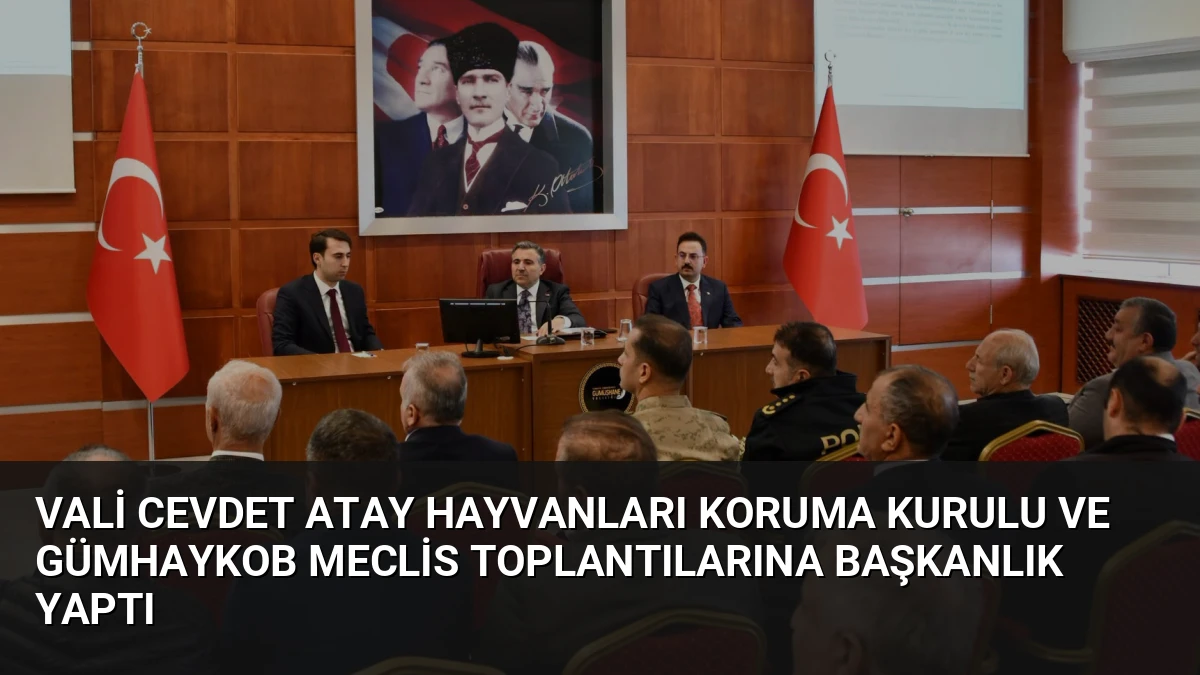 Vali Cevdet Atay Hayvanları Koruma Kurulu ve GÜMHAYKOB Meclis Toplantılarına Başkanlık Yaptı