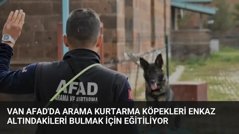 Van AFAD'da Arama Kurtarma Köpekleri Enkaz Altındakileri Bulmak İçin Eğitiliyor